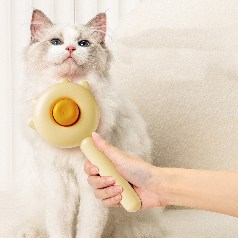 Cat and Dog Hair Brush Removal